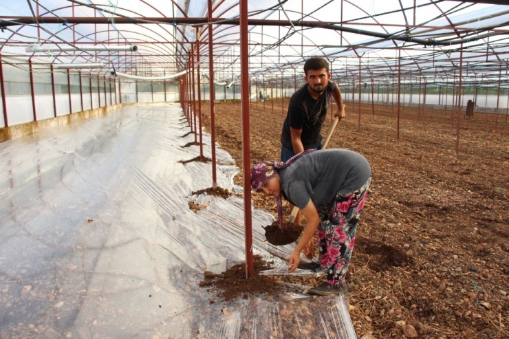 Virüse Dayalı Ve Fungusit Hastalıklarla Baş Edemeyen Çiftçiler, Seralarda Solarizasyon Uygulaması Başlattı