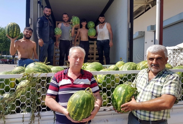 Atça Karpuzu Almanya Yolcusu