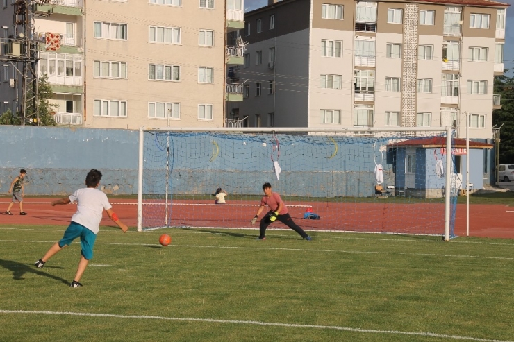 29 Branşta Eğitim Verilecek