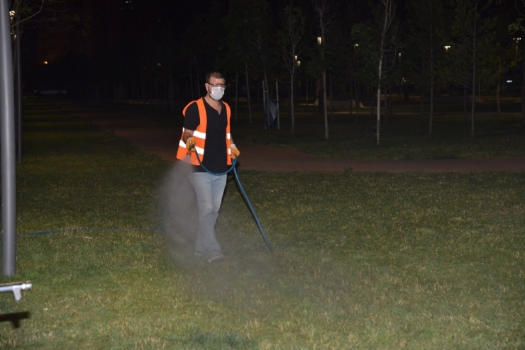 Park Ve Yeşil Alanlar Gece İlaçlanıyor