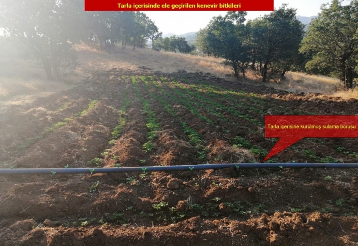 Diyarbakır’da Dev Uyuşturucu Operasyonu