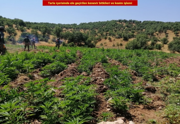 Diyarbakır’da Dev Uyuşturucu Operasyonu