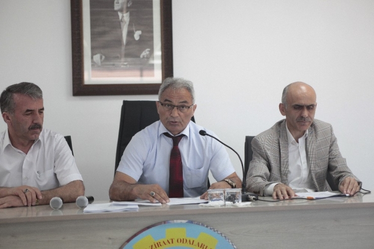 Ziraat Odalarından “Fındık Fiyatları Temmuz Ayında Açıklansın” Çağrısı