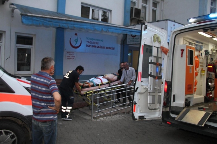 Ayı Saldırısında Köpeği Kurtardı