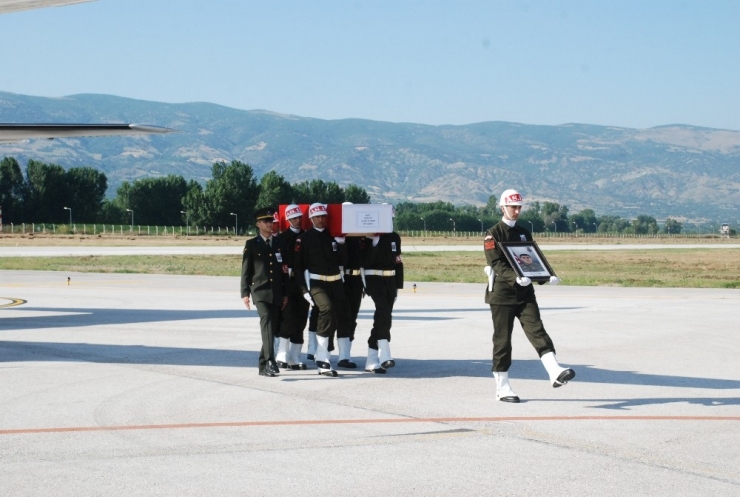 Evin Tek Oğluydu, Şehit Düştü