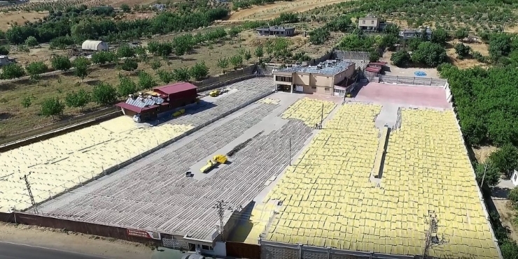 Kahramanmaraş’ta 30 Bin Ton Tarhana Üretiliyor