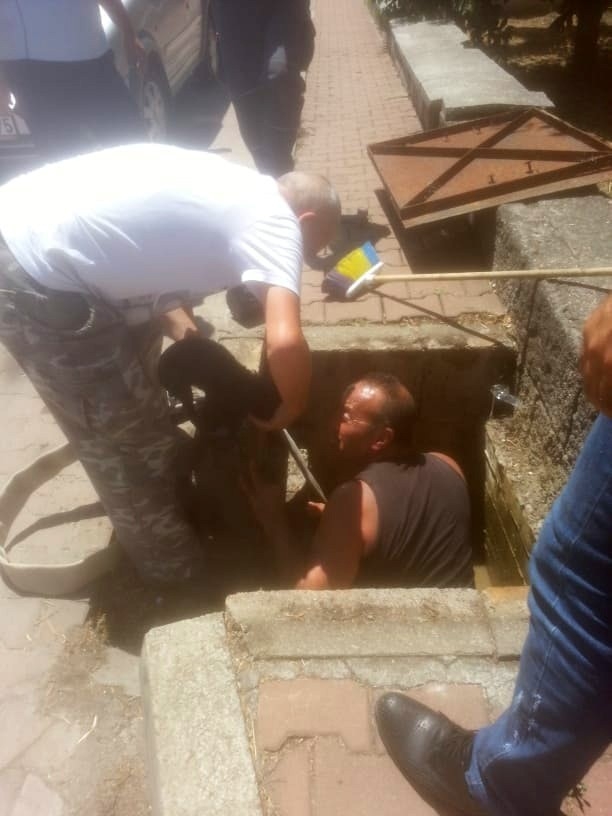 Kanalizasyona Düşen Yavru Köpeği İtfaiye Kurtardı