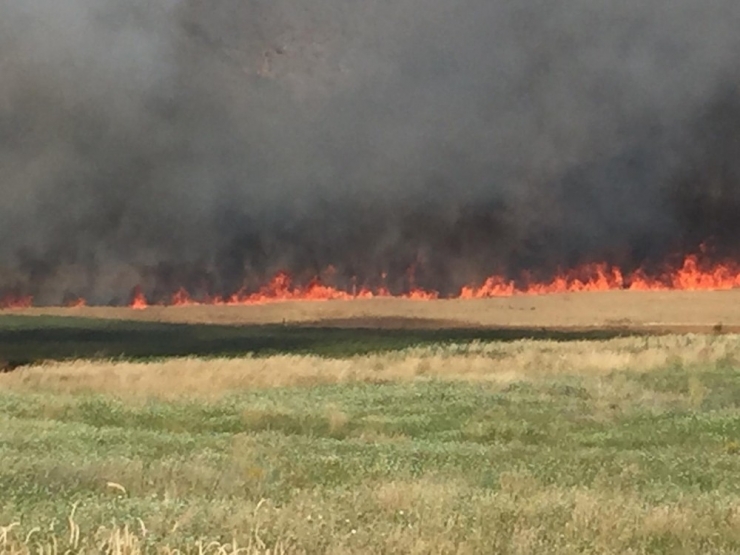 Bir Kıvılcım 500 Dönümlük Tarım Arazisini Kül Etti