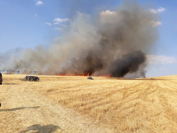 Bozova’da 200 Dönümlük Arpa Tarlası Kül Oldu