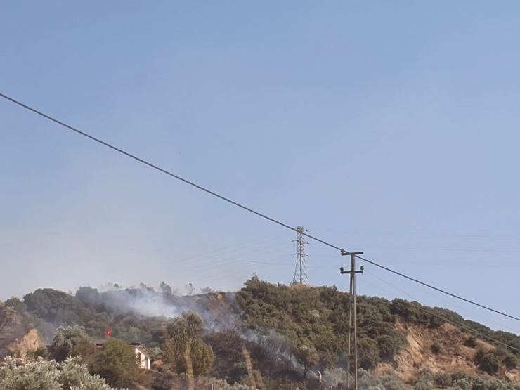 Manisa’da Orman Yangını