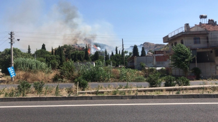 Manisa’da Orman Yangını