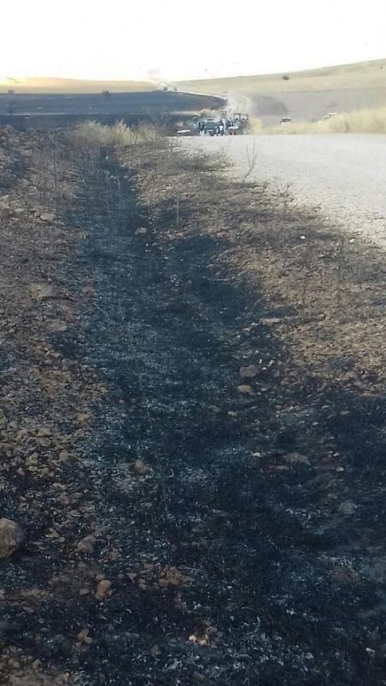 Mardin’de Çıkan Yangında 400 Dönüm Ekili Arazi Kül Oldu