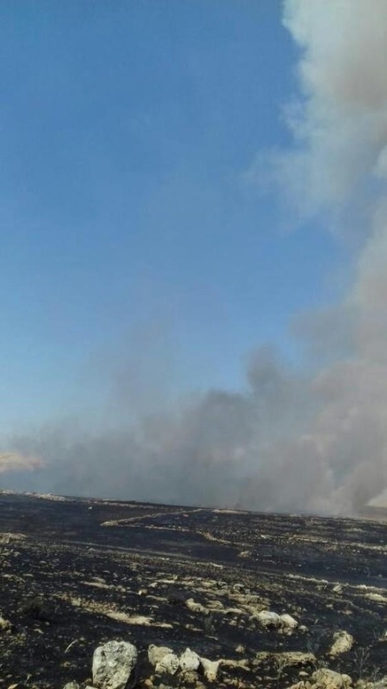 Mardin’de Çıkan Yangında 400 Dönüm Ekili Arazi Kül Oldu