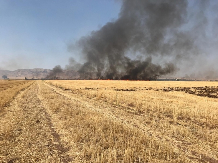 Mardin’de Anız Yangını