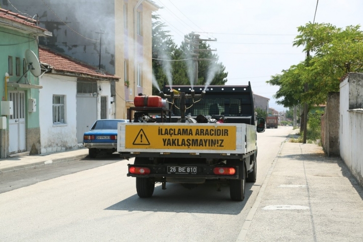 Odunpazarı’ndan Haşereyle Mücadele