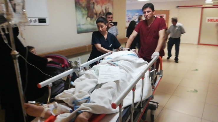 Tatil Dönüşü Kazada Ağır Yaralandılar