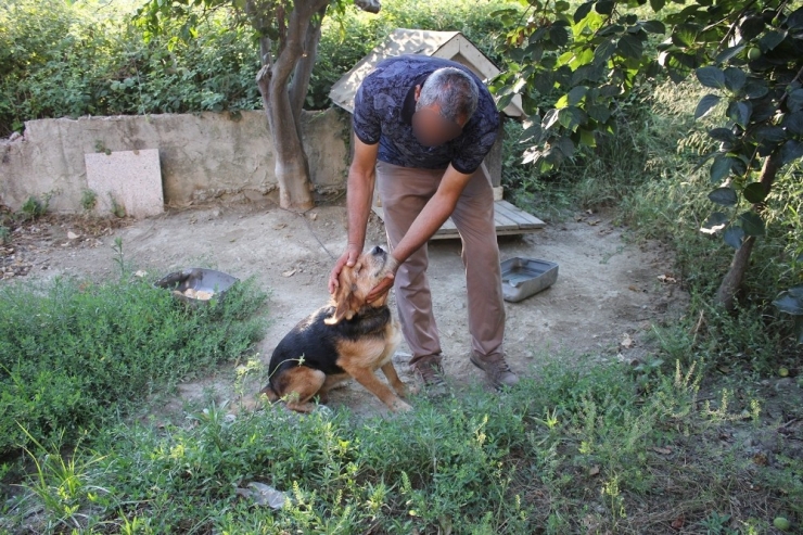72 Yaşındaki Site Bekçisinin Dövülerek Öldürülmesi