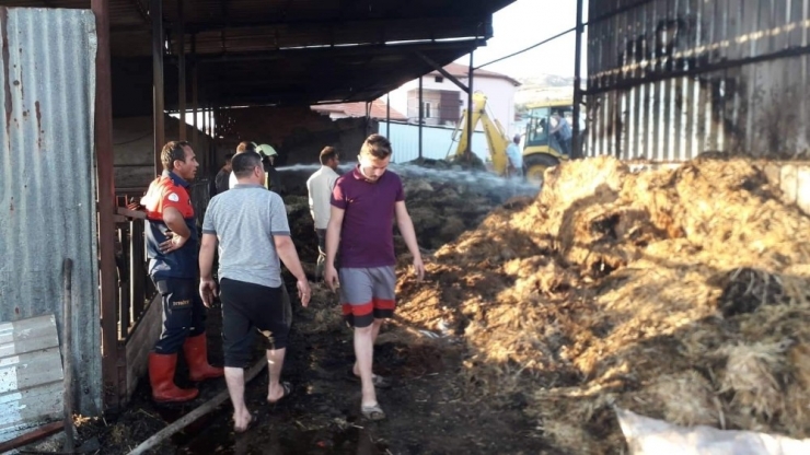 Çal’da Ahır Yangını