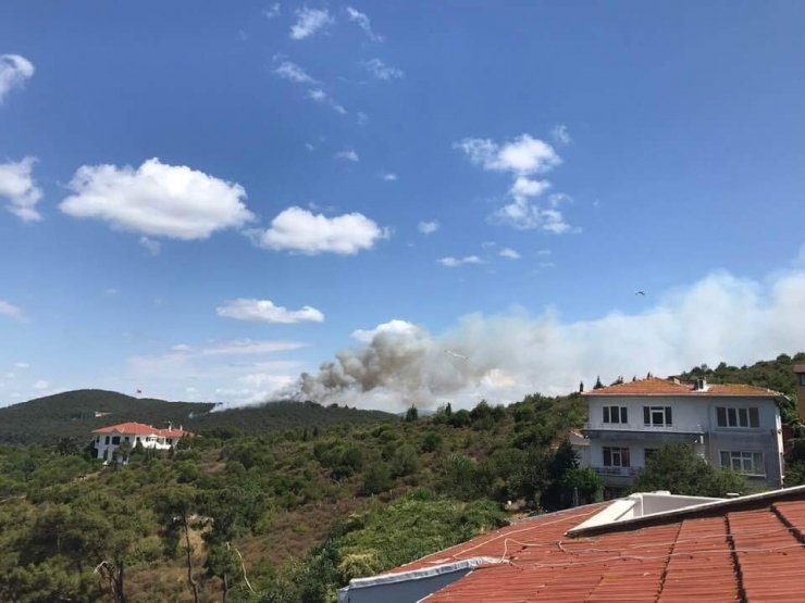Heybeliada’da Yangın Paniği