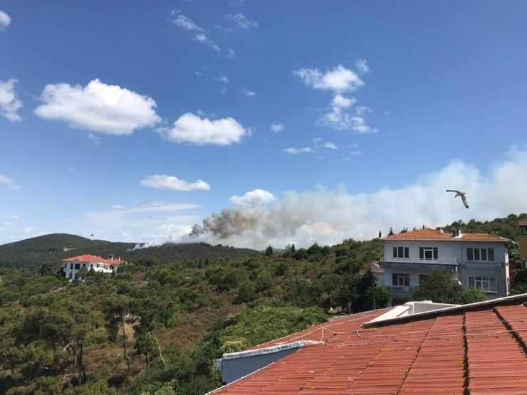 Heybeliada’da Yangın Paniği