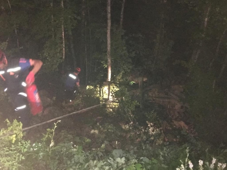 Devrilen Traktörün Altında Kalan Sürücü Yaralandı