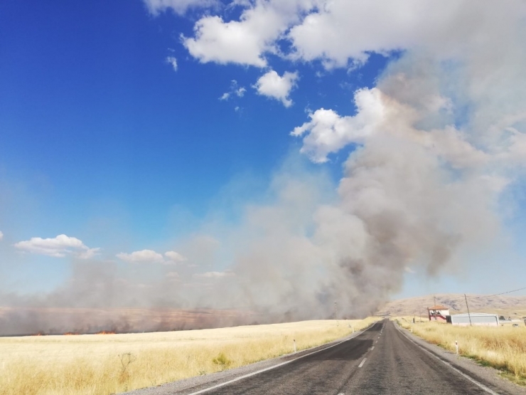 Malatya’da Anız Yangını