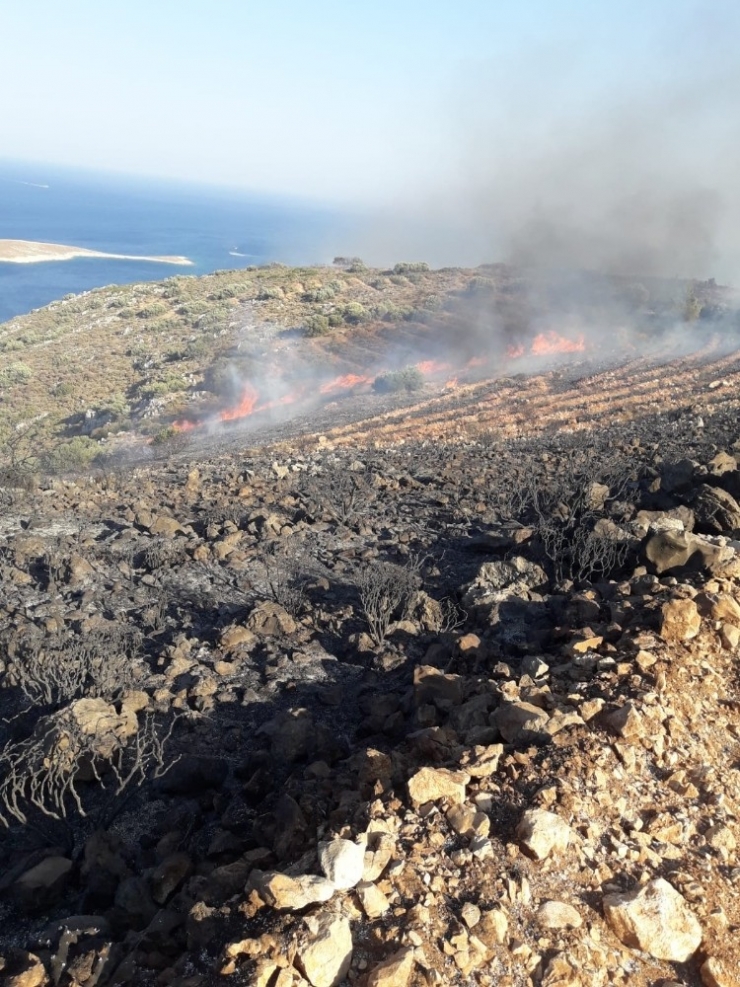 Datça’da Yangın