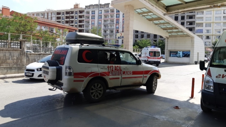 Siirt’te Yılanın Isırdığı Adam Tedavi Altına Alındı