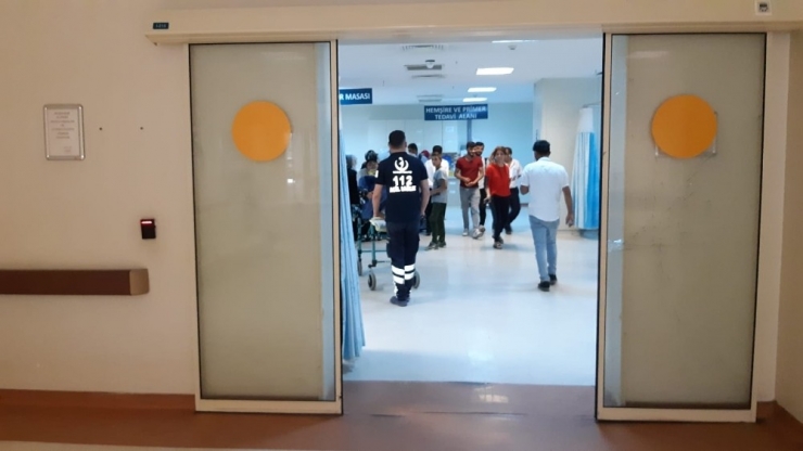 Siirt’te Yılanın Isırdığı Adam Tedavi Altına Alındı