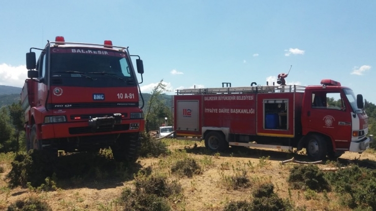 Burhaniye’de Orman Yangını