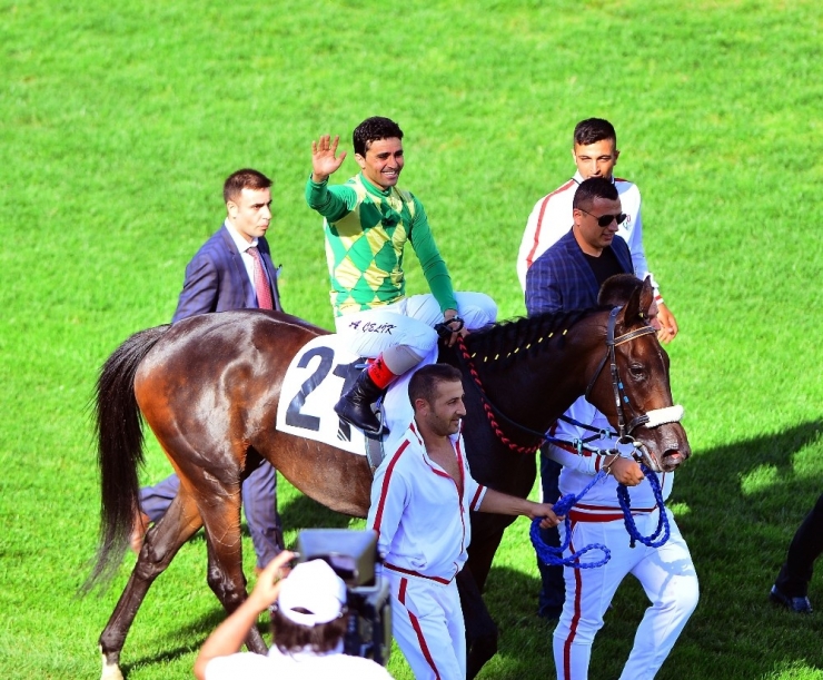 Ahmet Çelik: “Yüreği Erkeklerden Daha Büyük Olan Dişi Safkanla Kazandım”