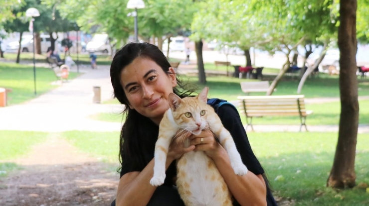 Sokaktaki Kedileri Besleyen Öğretmeni ‘Gösteriş İçin Yapıyorsun’ Diyerek Darp Ettiler