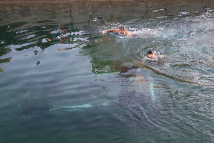 Adana’da Otomobil Sulama Kanalına Devrildi: 1 Yaralı
