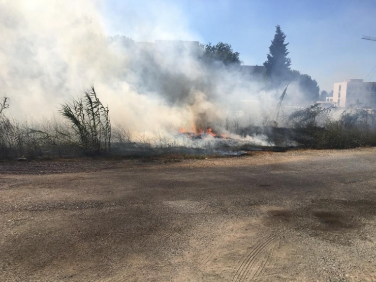 Kazada Yıkılan Elektrik Direği Yangın Çıkardı