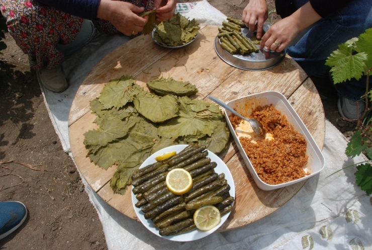 Japonlar Tokat Yaprağı Yiyecek