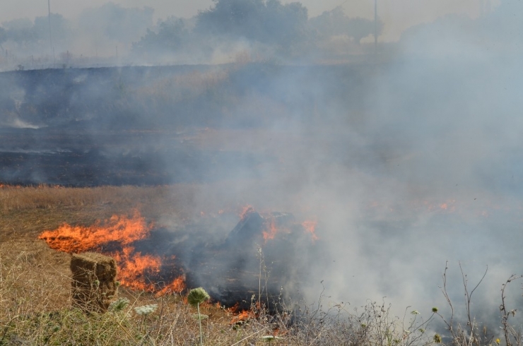 Mahalleli Kovaa Ve Küreklerle Yangını Durdurmaya Çalıştı