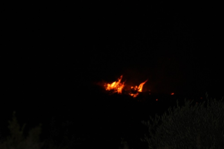 Hatay’da 20 Dönümlük Makilik Alan Kül Oldu