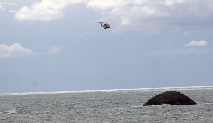Kayıp Öğretmenin Köpeği Sahilde Sahibini Bekliyor
