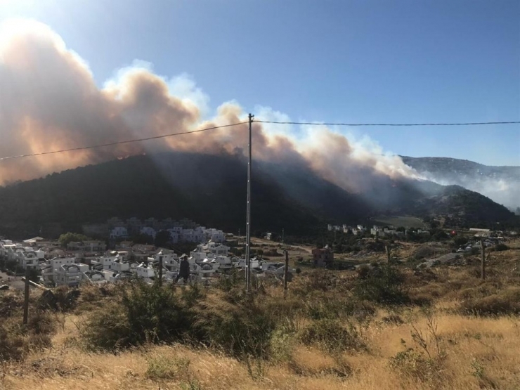 İzmir’deki Çandarlı Bölgesinde, Yazlık Sitelerin Yanında Orman Yangını Çıktı. Ekipler, 2 Helikopter Ve 6 Arazöz İle Yangına Müdahale Ediyor. Bölgeye Takviye Ekipler De Sevk Edildi.