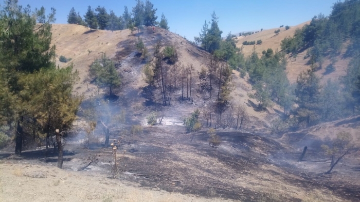 Bahçe Temizliği Yaparken Ormanı Yaktı