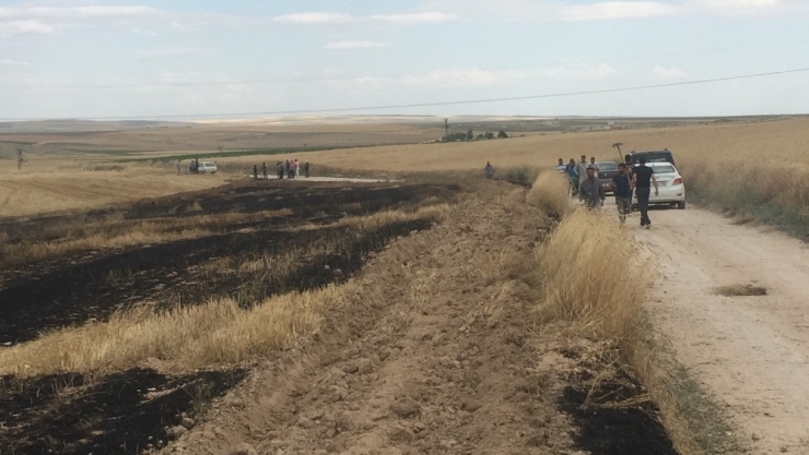 Trafoda Akıma Kapılan Kuşlar Tarlanın Yanmasına Sebep Oldu