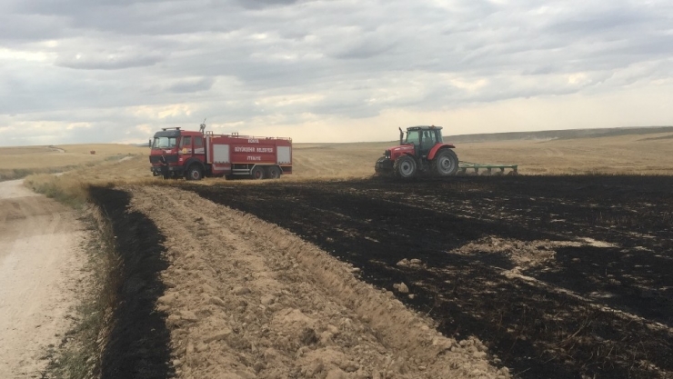 Trafoda Akıma Kapılan Kuşlar Tarlanın Yanmasına Sebep Oldu