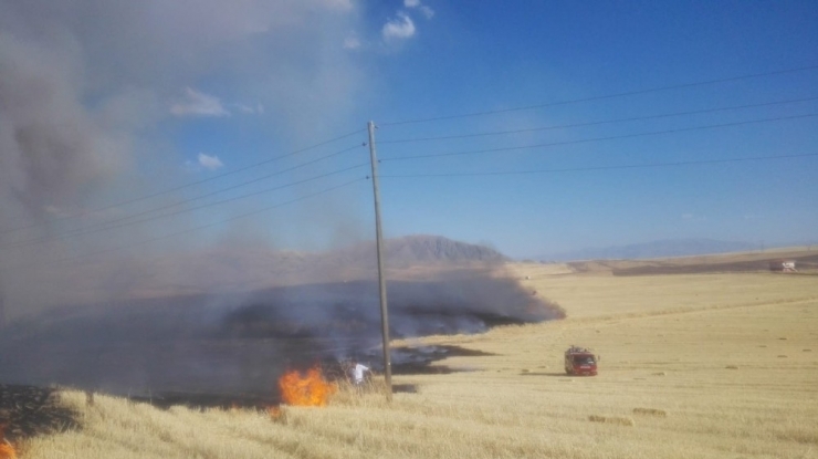 Malatya’da Anız Ve Ot Yangını