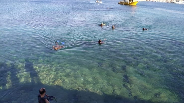 Datça’da Denizden 1,5 Ton Çöp Çıkartıldı