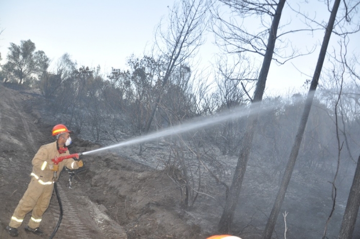 Osmaniye’de Orman Yangını