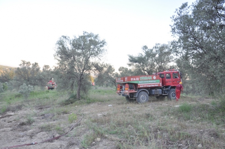 Osmaniye’de Orman Yangını