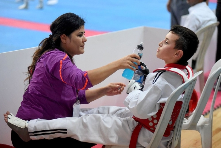 Arılar Mücadeleyi Elden Bırakmadı