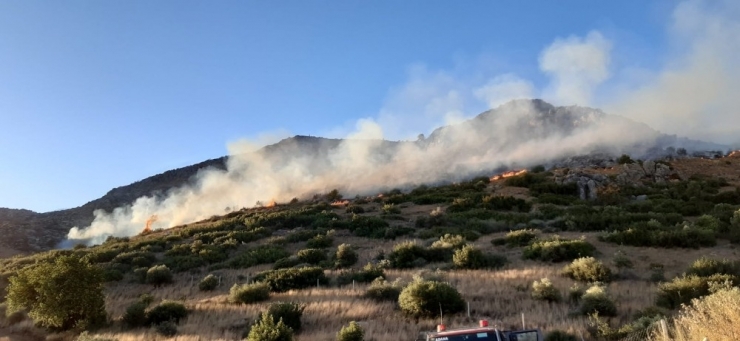 Adana’daki Orman Yangınını Söndürme Çalışmaları Sürüyor
