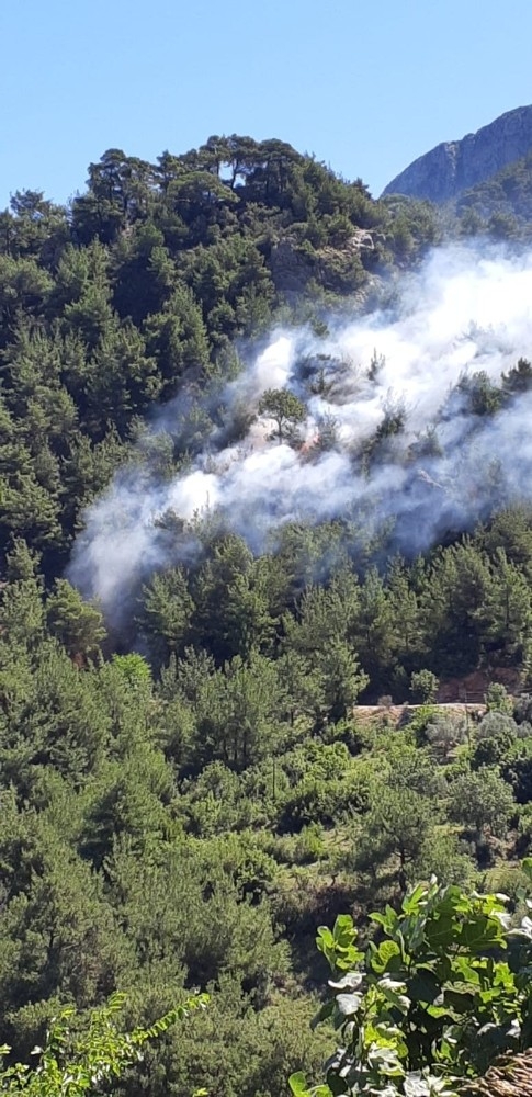 Kozan’da Orman Yangını