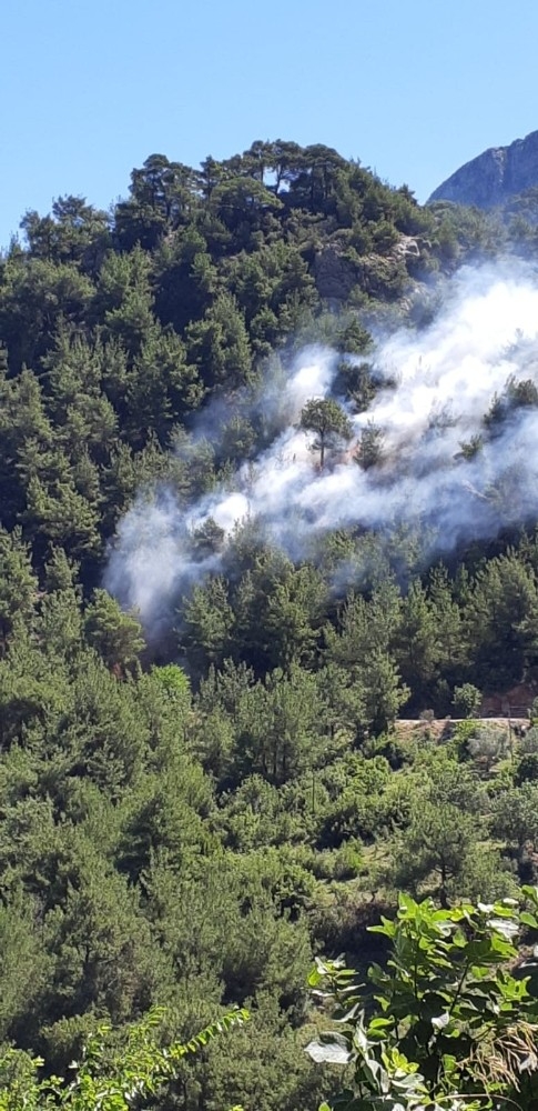 Kozan’da Orman Yangını